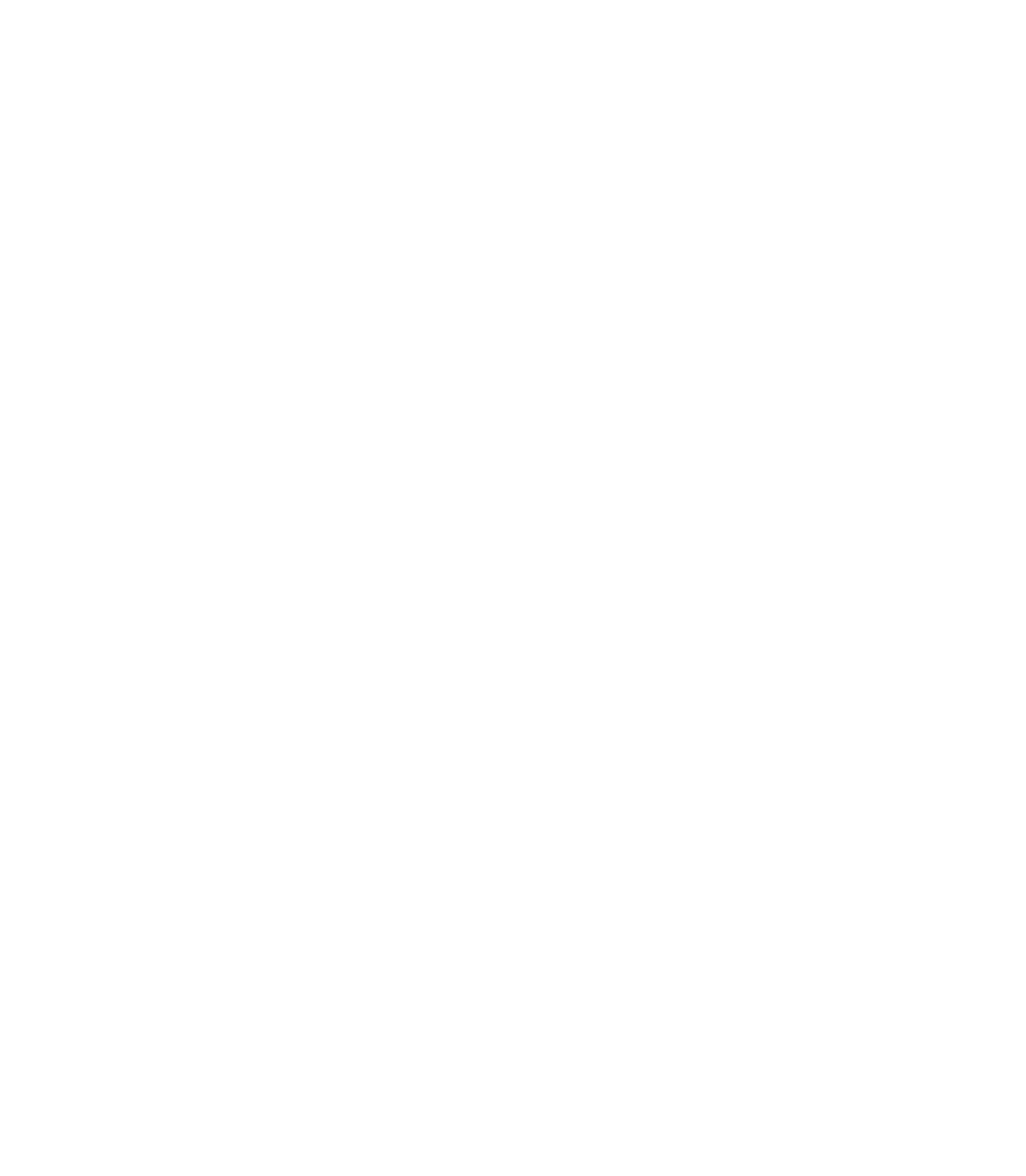 BlxckBox Logo 2
