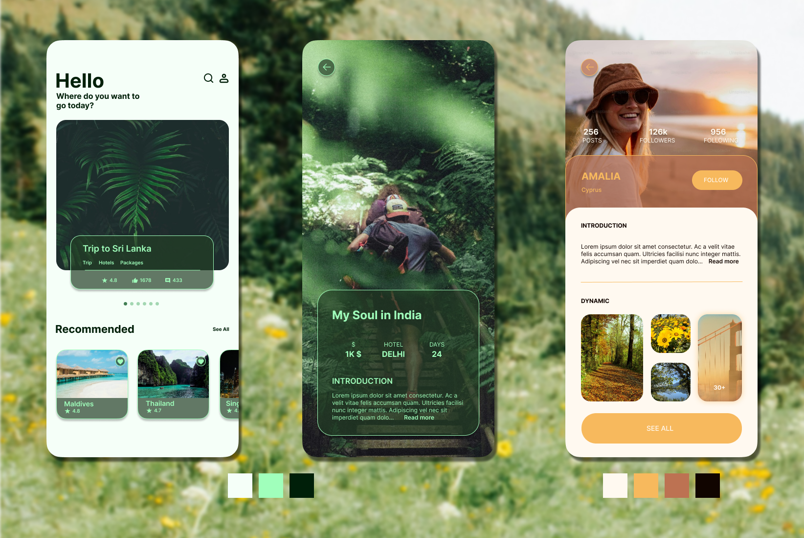 UI/UX showcase 1